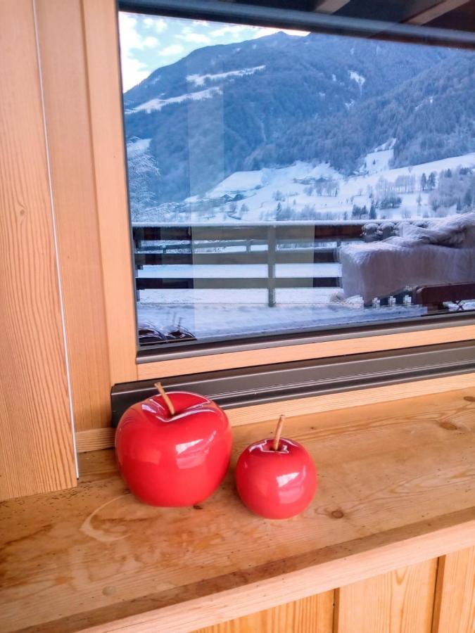 Obergereuth Hof 2021 Apartment San Martino In Passiria  Exterior photo